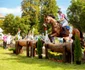 Karpathia Horse Show