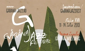 Festivalul de Jazz de la Gărîna, Opera Nights, Radu Cosaşu jpeg