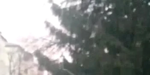 61ac8ebd5163ec4271418c39 jpg