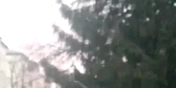 61ac8ebd5163ec4271418c39 jpg