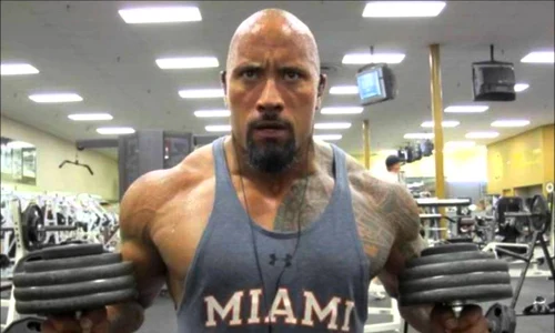 the rock jpeg