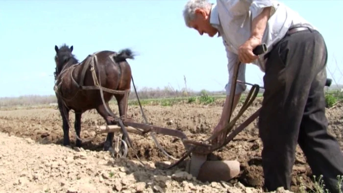 În cartierul de bulgari Matei Voievod din Targoviste locuiesc peste 2000 de suflete, majoritatea avand ca ocupatie de baza legumicultura FOTO Ionuţ Dima