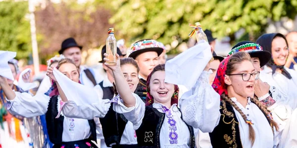 Festivalul - Concurs Naţional de Folclor ”Mioveni”.