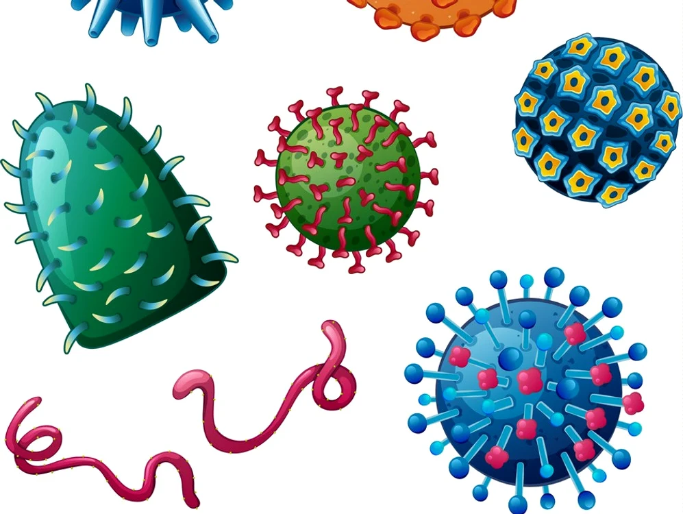 S-au descoperit sute de virusuri necunoscute care trăiesc în intestinul uman. 