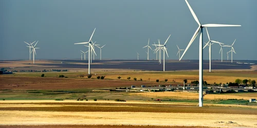 parc eolian foto RWEA Asociatia Romana pentru Energie Eoliana