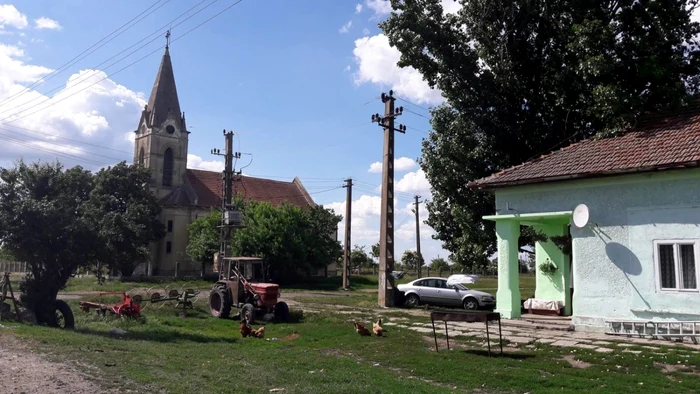 Colonia Bulgară a ajuns "colonia oilor"