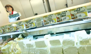 CLIIMA20120926 0121 1 jpeg