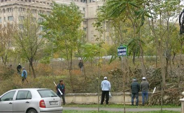 Protestatarii au urinat pe spaţiul verde