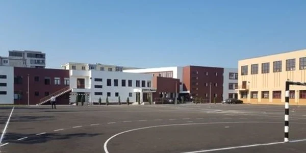 Curtea scopii  proiect PPITESTI