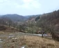 Vulcan, zona Dealu Babii Foto Daniel Guță ADEVĂRUL (2) jpg