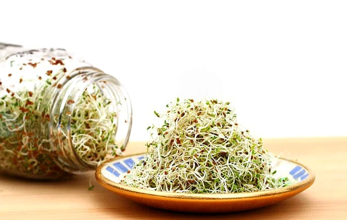 Mugurii folosiți la salate pot fi periculoși / foto: Getty Images