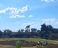 Descoperiri arheologice în apropierea Văii Templelor din Agrigento