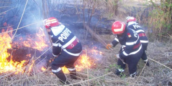 Miriştile în flăcări,  pericol pentru olteni