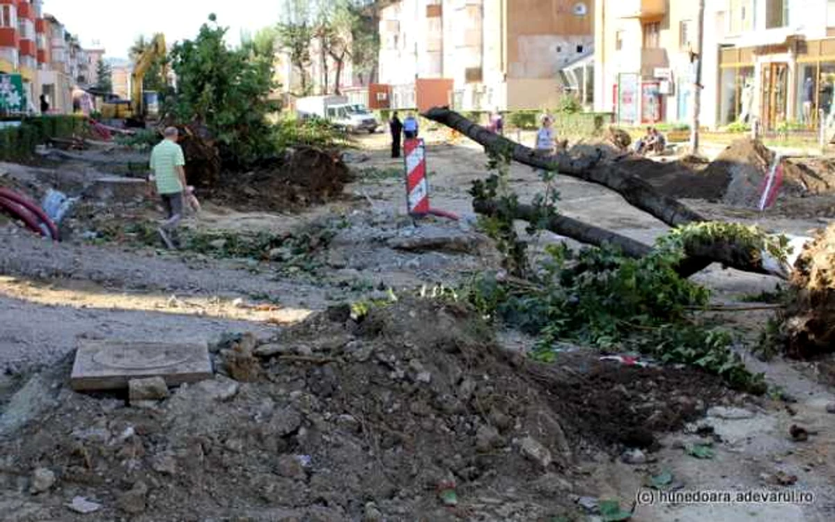 Toţi arborii de pe Bulevardul Corvin sunt extraşi. FOTO: Daniel Guţă. ADEVĂRUL.