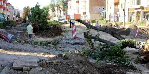 copaci scosi de pe bulevardul corvin foto daniel guta adevarul