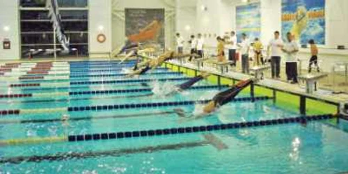Micii înotători au oferit curse pe cinste în întrecerile disputate în bazinul Complexului Olimpic Sydney 2000  