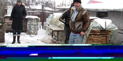 În Bărăgan, tăierea porcului, în ziua de Ignat, este o tradiție moștenită din străbuni