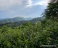 Privelisti de pe Transalpina Pădurenilor Foto Daniel Guță (13) jpg