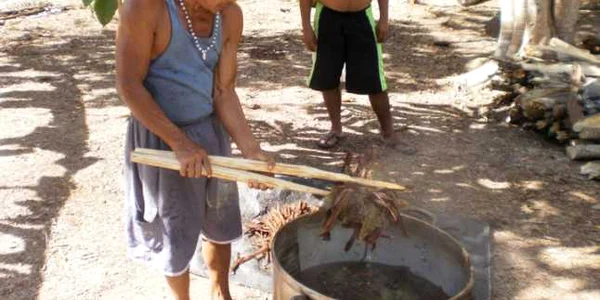 ayahuasca drog studiu foto wikimedia