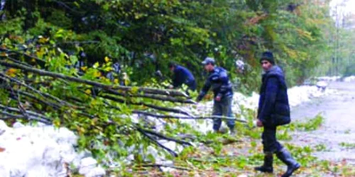 Reşiţa: Furtuna a lăsat Semenicul fără curent electric