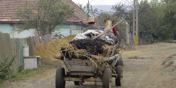 Ghinda, un sat  cu titlu de oraş