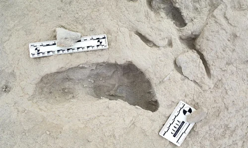 Urmele unor străvechi specii umane, descoperite în Kenya (foto: Kevin G. Hatala / Chatham University)