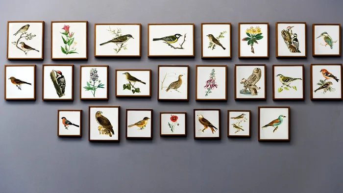 tablouri decorative jpg