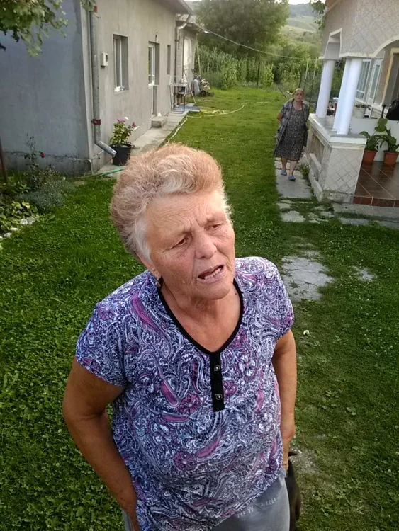 disparut razvad
