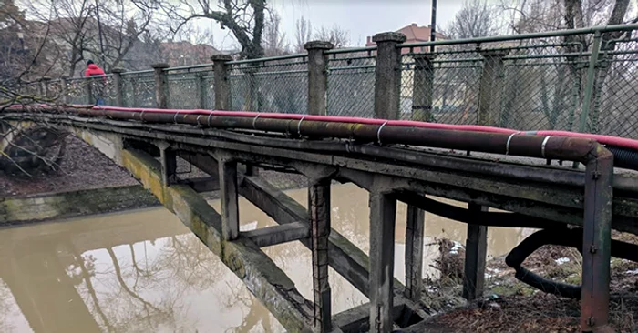 Pasarela Îndrăgostiţilor din Timişoara Foto: Facebook