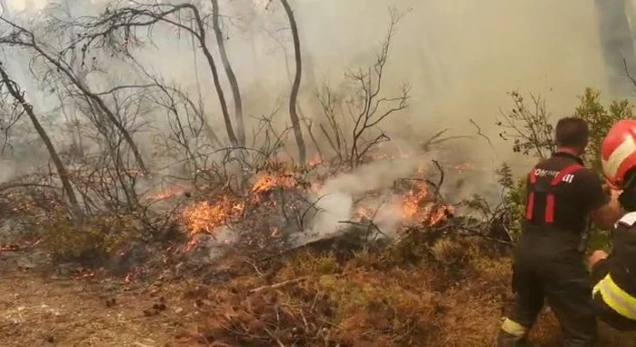 Grecia/Evia - Captură video ISU Argeş