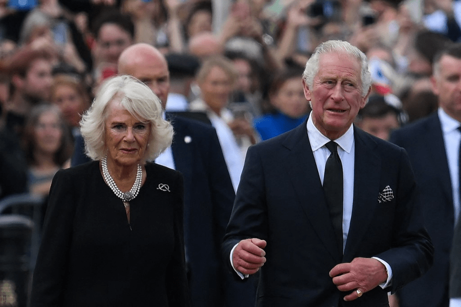 Statisticile surprinzătoare privindu-l pe Prințul Charles, acum Regele Charles al III-lea