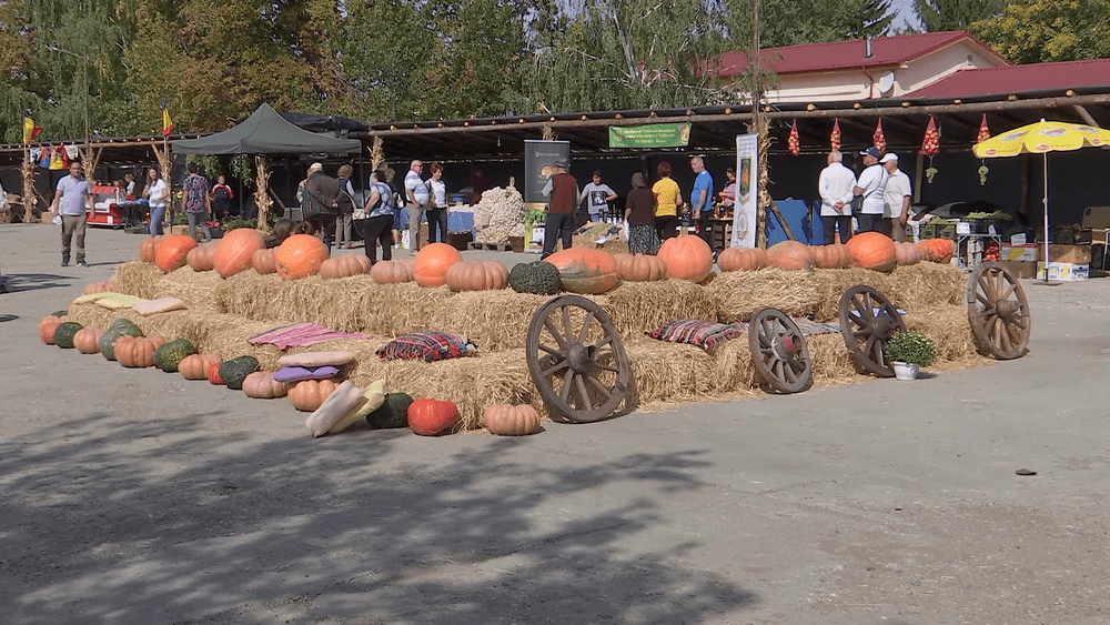 Festival al toamnei, în Buzău, cu sarmale, plăcinte și dulceață la discreție, toate preparate din dovleac