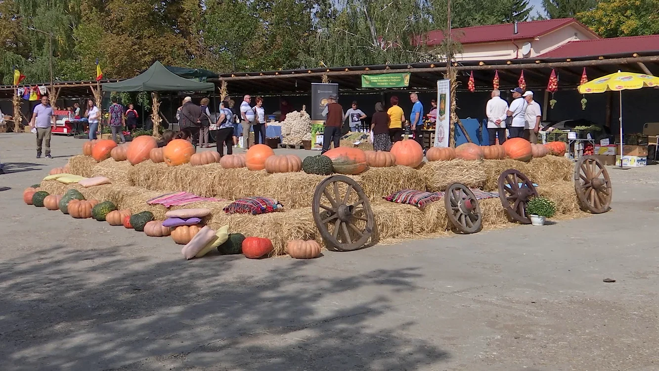 Festivalul este aproape de șoseaua E85. FOTO Iulian Bunilă