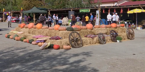 festivalul dovleacului png