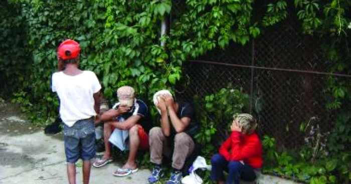 Iaşi: Regiunea pe scurt