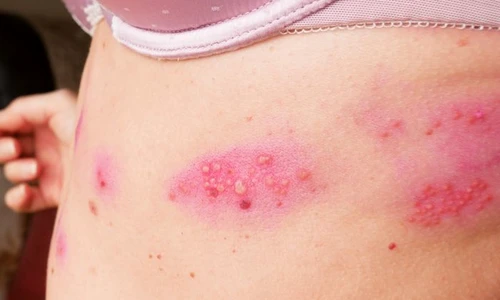 1 shutterstock 1729143838 jpg jpeg