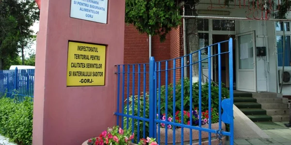 dsvsa Gorj