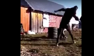 suceava batuta de iubit 0 jpeg