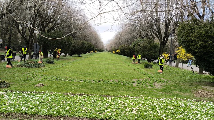 Fotografii: Primăria Capitalei