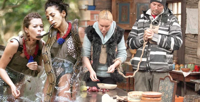 
    “Dansez pentru  tine” (PRO TV)  