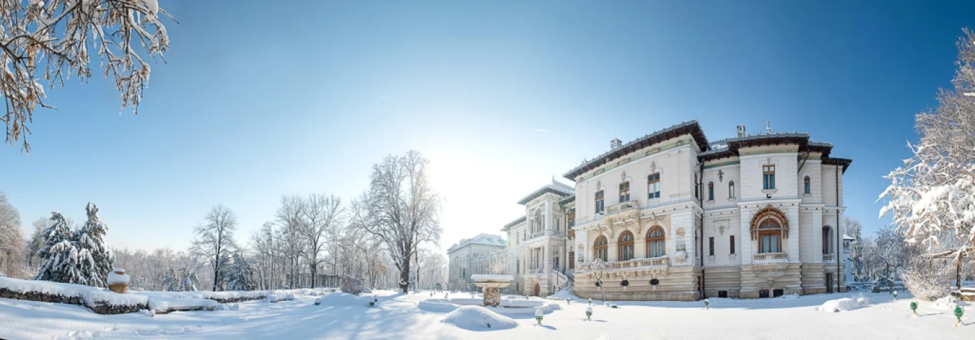 Palatul Cotroceni FOTO www.presidency.ro