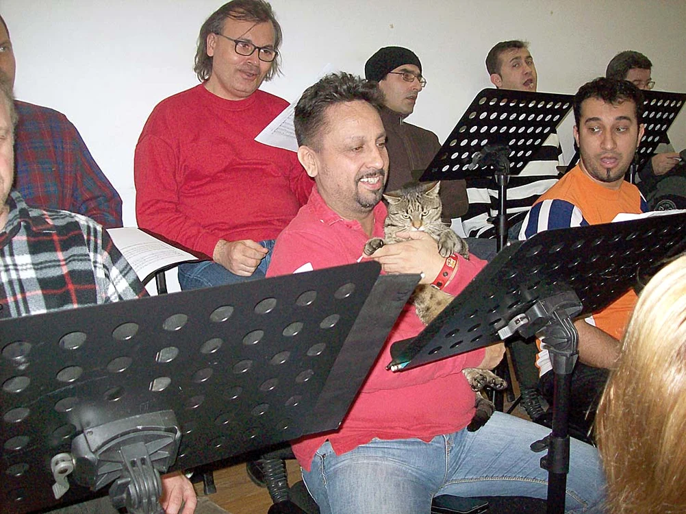 Pianul e locul preferat al pisicuţei