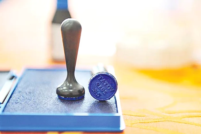 
    Gabriela Firea l-a impus pe Paul Stănescu, baron de Olt, în funcţia de președinte executiv Fotografii: Mediafax  