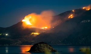 473ceb60 8f47 47bf 8d98 2dc22e762506 jpeg