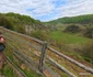 Fundătura Ponorului  Foto Daniel Guță ADEVĂRUL (19) jpg