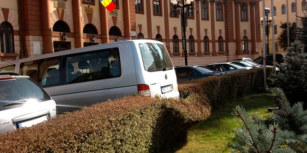 Microbuzul a „remodelat“ gardul viu din faţa Consiliului Judeţean. FOTO: Andreea Gagiu