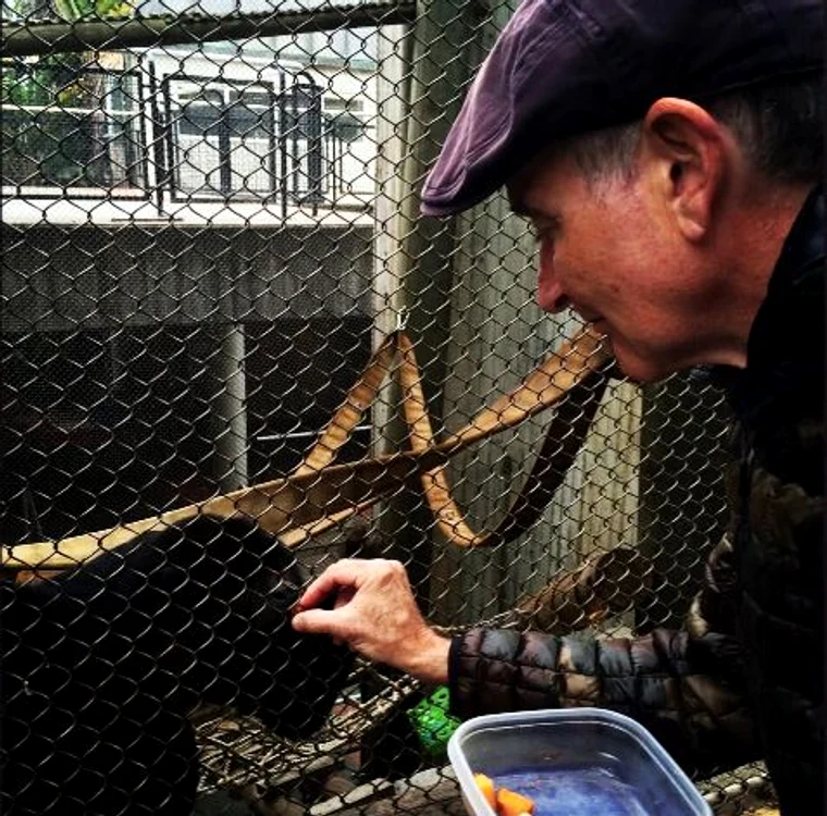 Robin Williams hrăneşte o maimuţă de la o grădină zoo