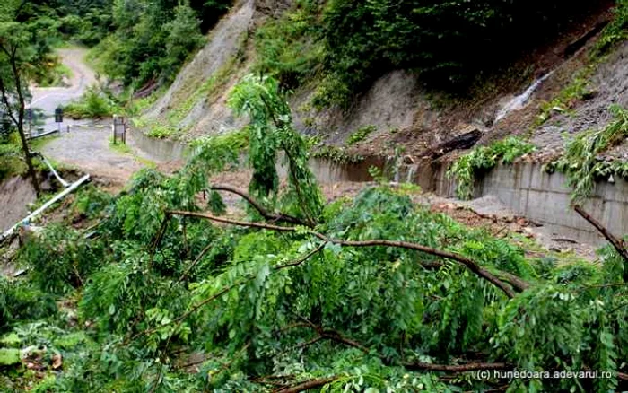 soseaua devastata sarmizegetusa regia foo daniel guta adevarul