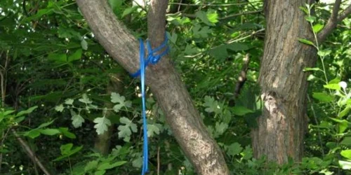 Nu se ştiu motivele sinuciderii în cazul tânărului