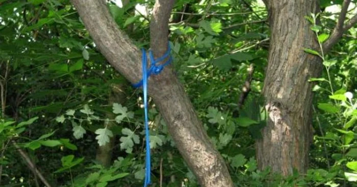 Nu se ştiu motivele sinuciderii în cazul tânărului